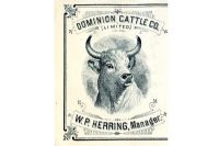Notre histoire en archives : la Dominion Cattle Company, une saga de l’Ouest américain